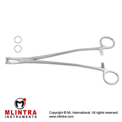 Thomas-Gaylor Biopsy Forcep Stainless Steel, 24 cm - 9 1/2" Bite Size 5.6 mm Ø Thomas-Gaylor Biopsy Forcep Stainless Steel, 24 cm - 9 1/2" Bite Size 5.6 mm Ø